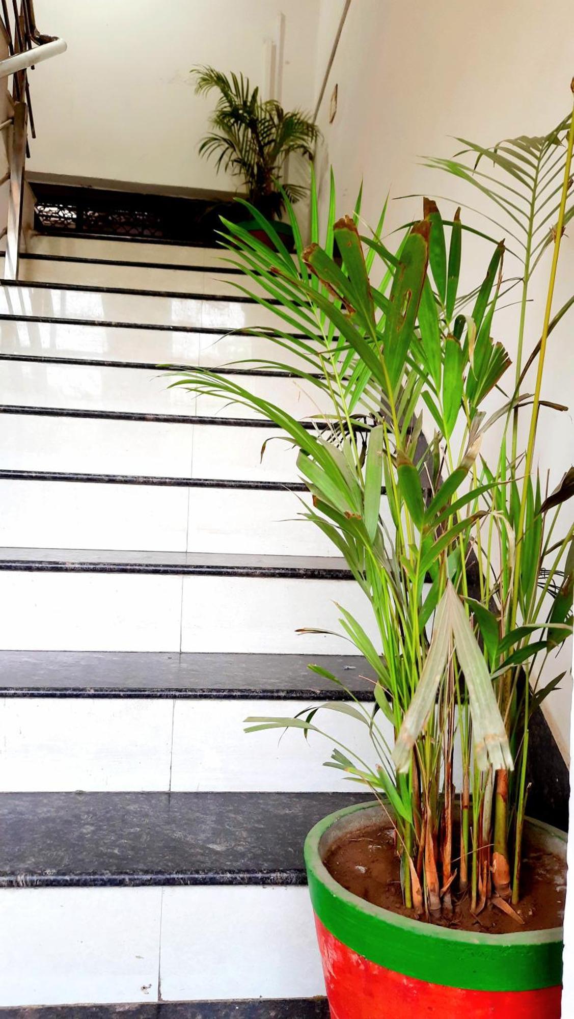 Hotel Season Ahmedabad Exterior foto